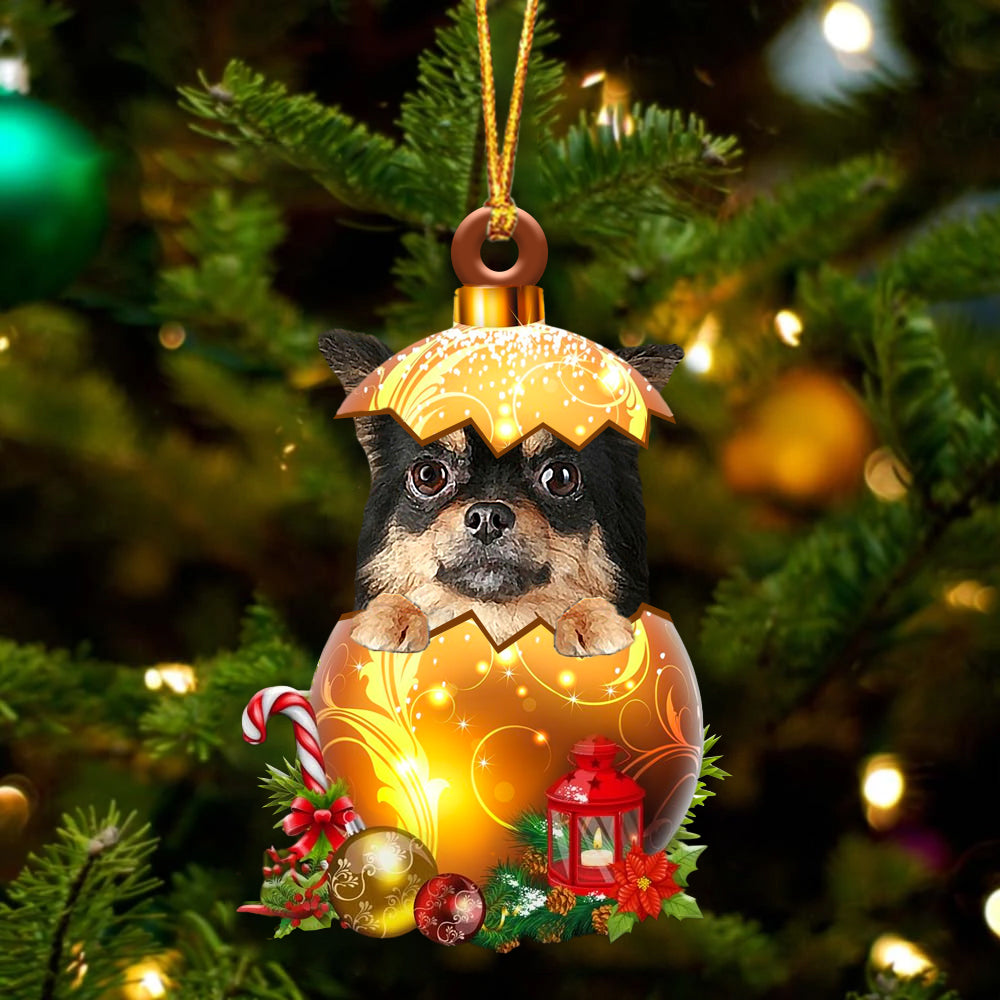 Chihuahua In Kerst Gouden Ei Ornament