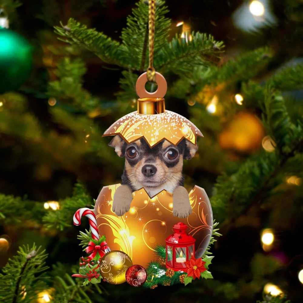 Chihuahua In Kerst Gouden Ei Ornament