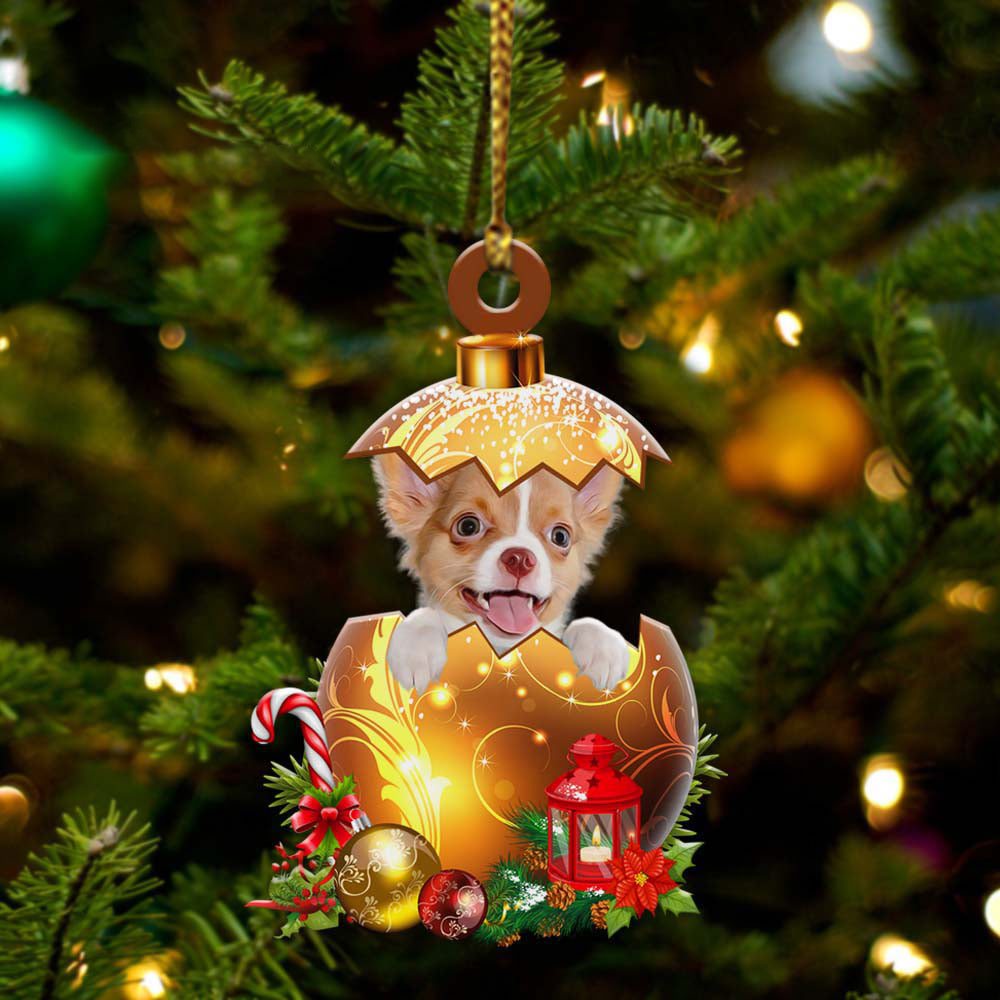 Chihuahua In Kerst Gouden Ei Ornament