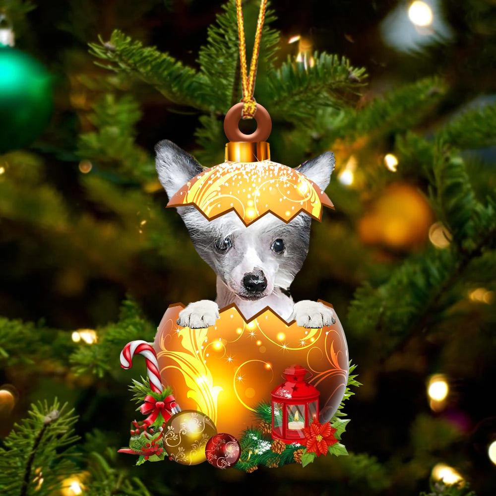 Chinese Crested Dog. In Kerst Gouden Ei Ornament