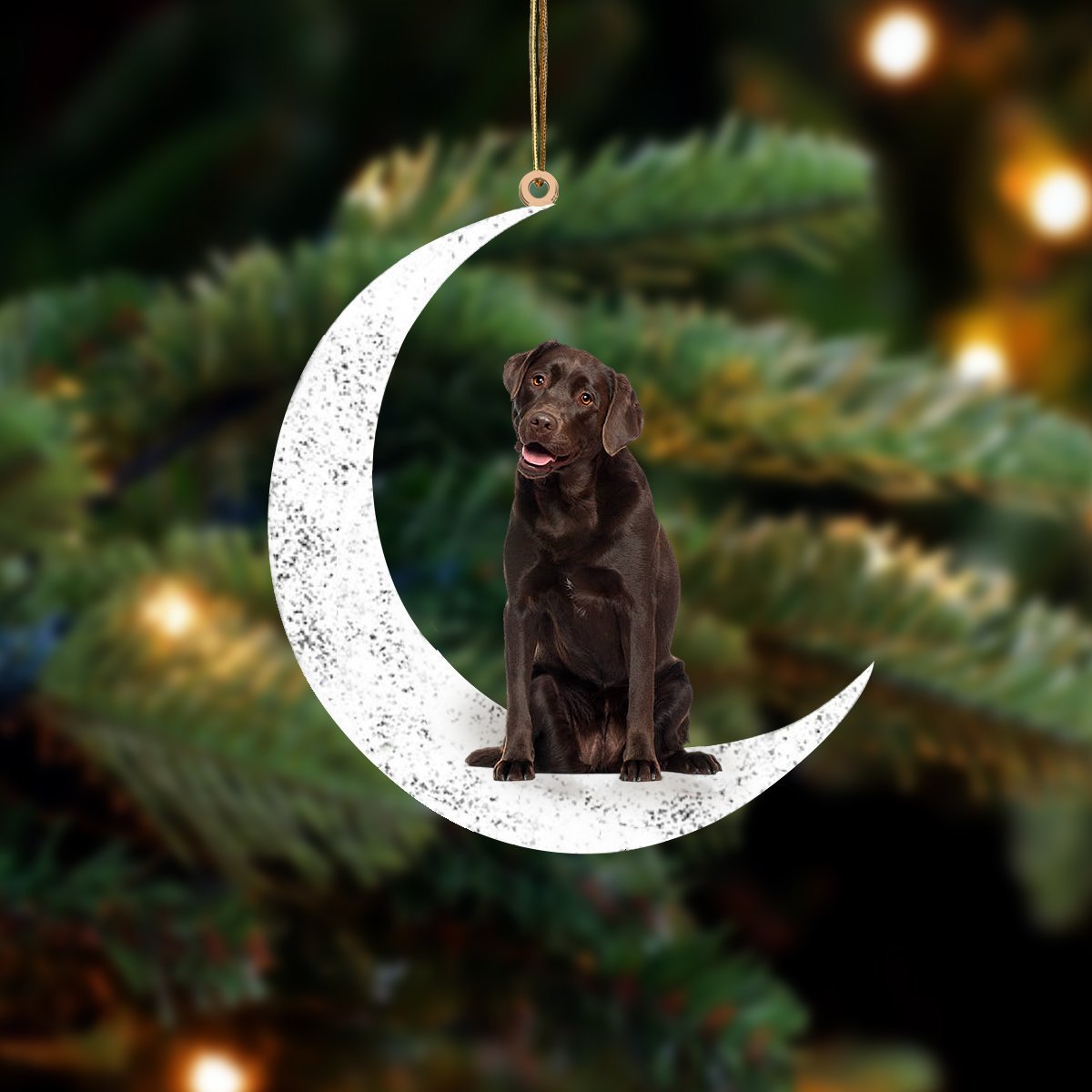 Chocolate Labrador 1 Zit op de Maan Ornament