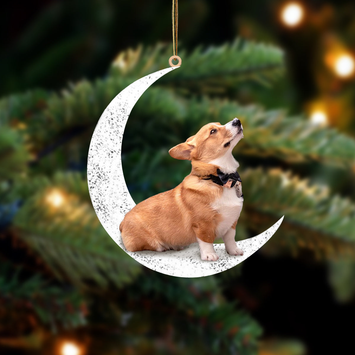 Corgi 2 Zit op de Maan Ornament