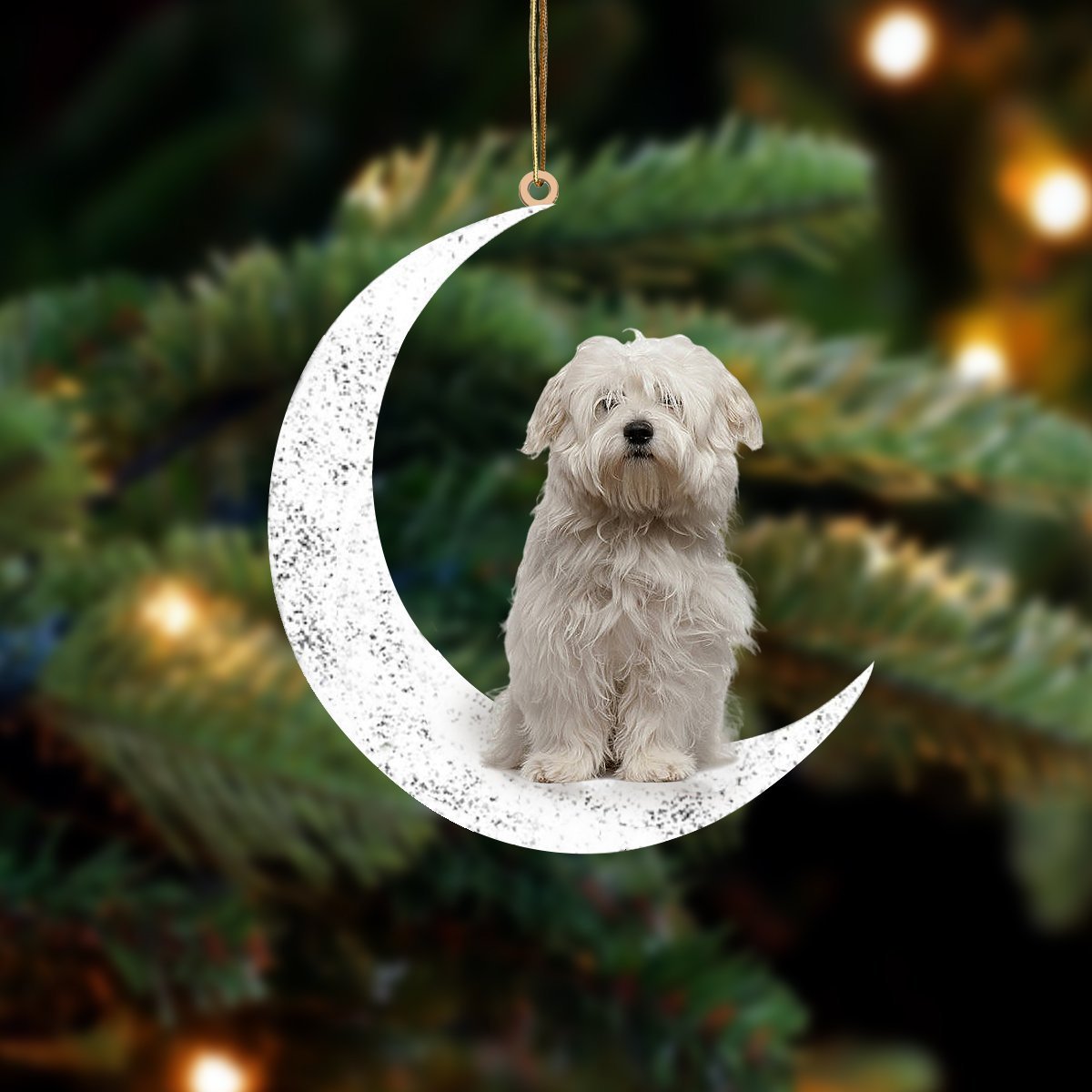 Coton De Tulear Zit op de Maan Ornament