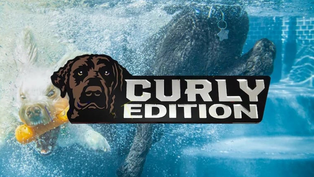 Curly Coated Retriever Auto Badge Autoembleem