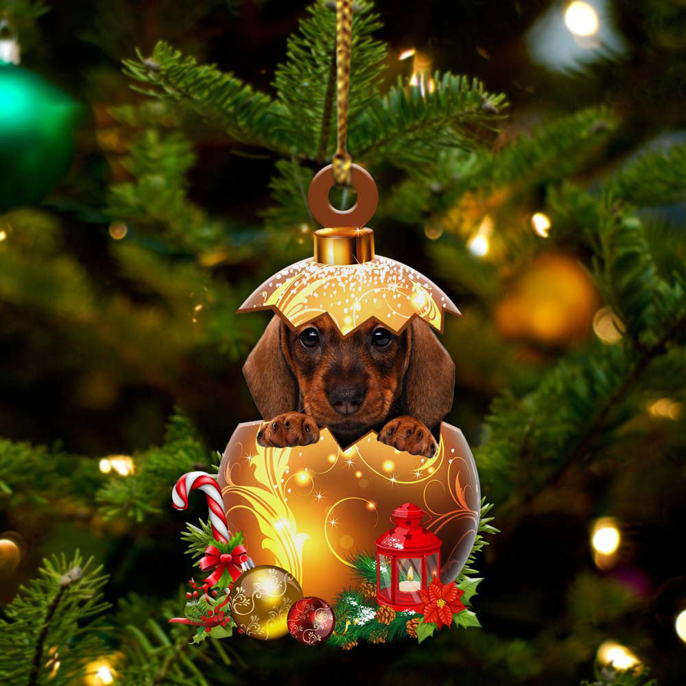 Dachshund  In Kerst Gouden Ei Ornament