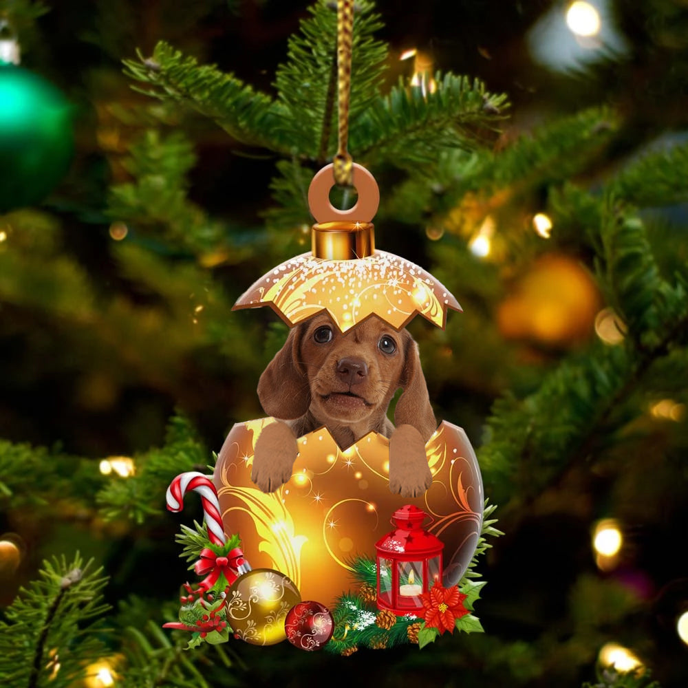 Dachshund In Kerst Gouden Ei Ornament