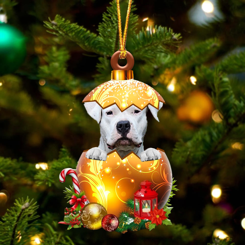 Dogo Argentino In Kerst Gouden Ei Ornament