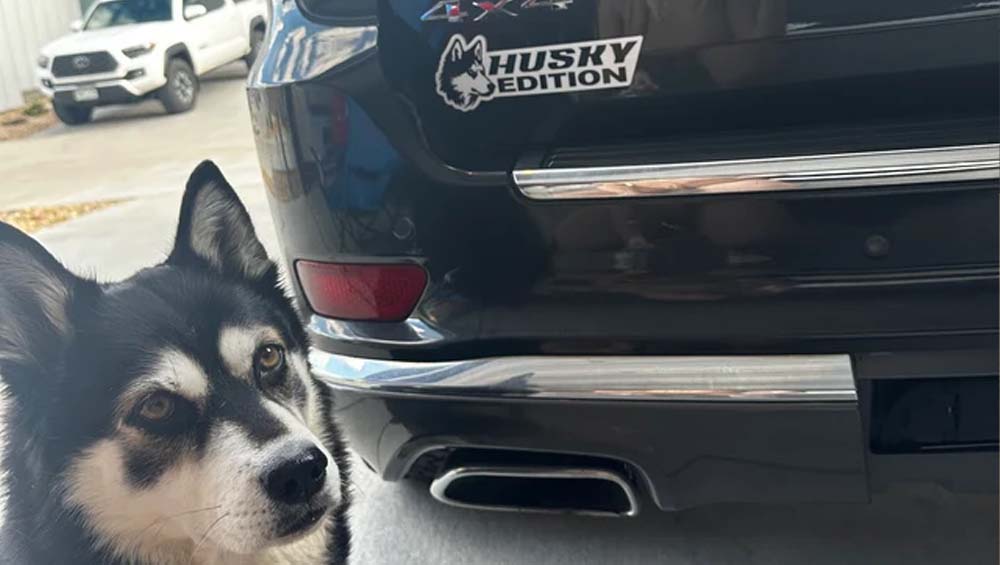 Husky Auto Badge Autoembleem