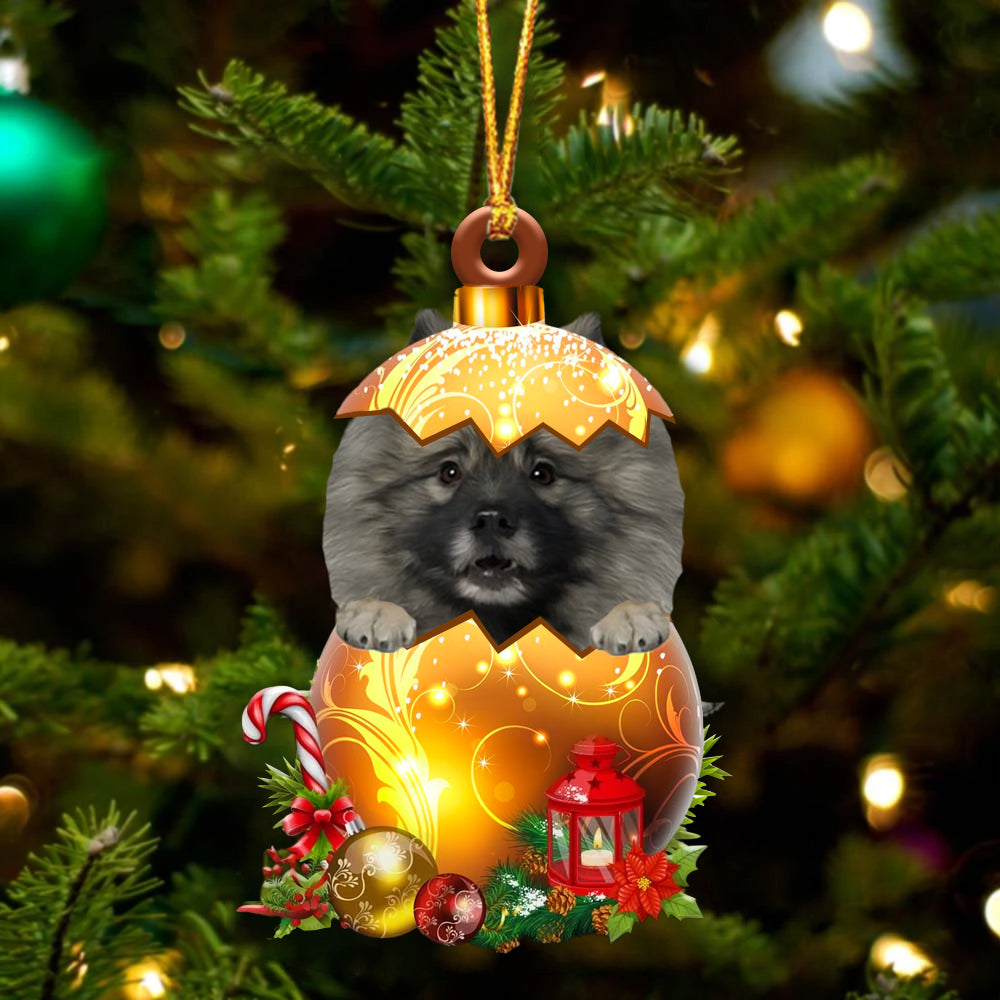 Grijze Keeshond In Kerst Gouden Ei Ornament