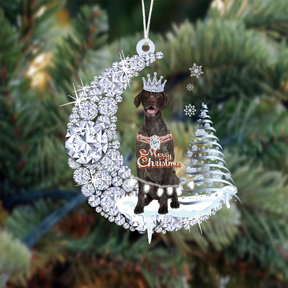 German Shorthaired Pointer op Diamand Maan Kerst Ornament