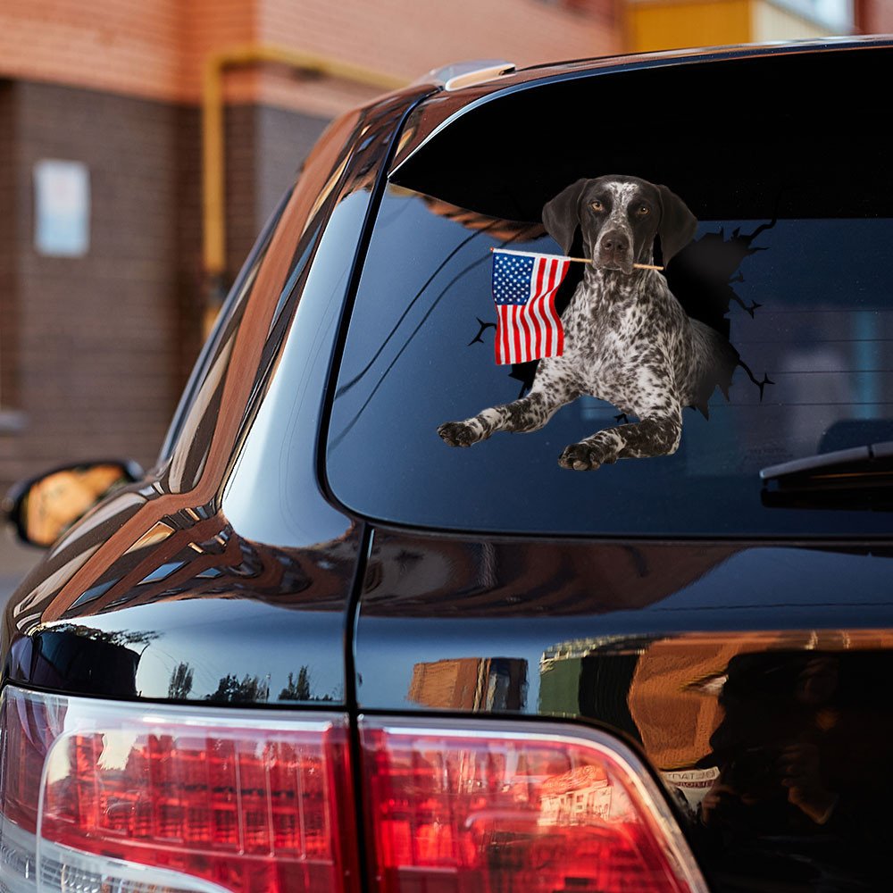 German Shorthaired Pointer