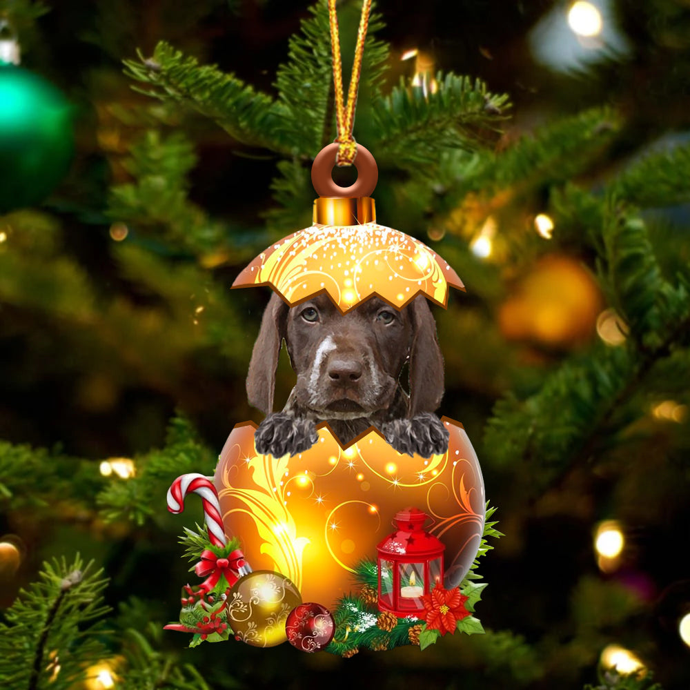 German Shorthaired Pointer In Kerst Gouden Ei Ornament