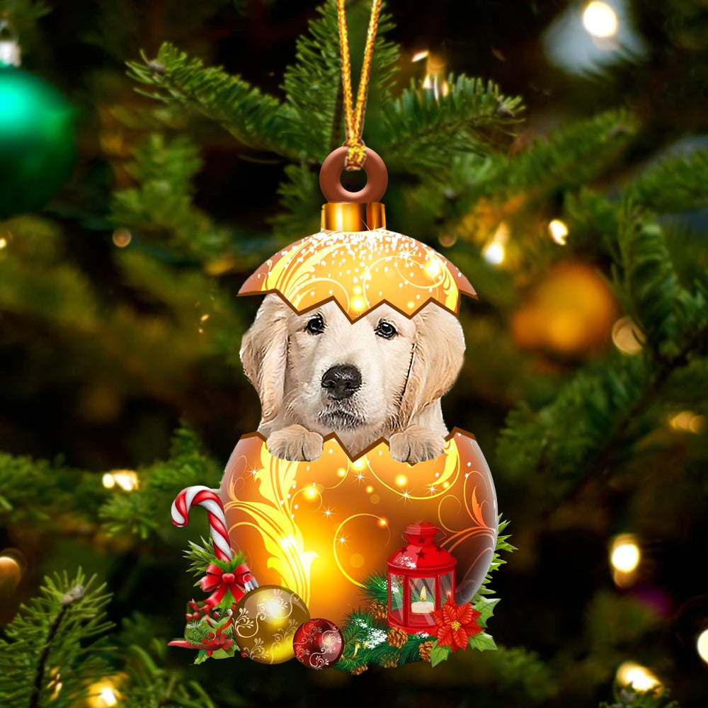 Golden Retriever In Kerst Gouden Ei Ornament