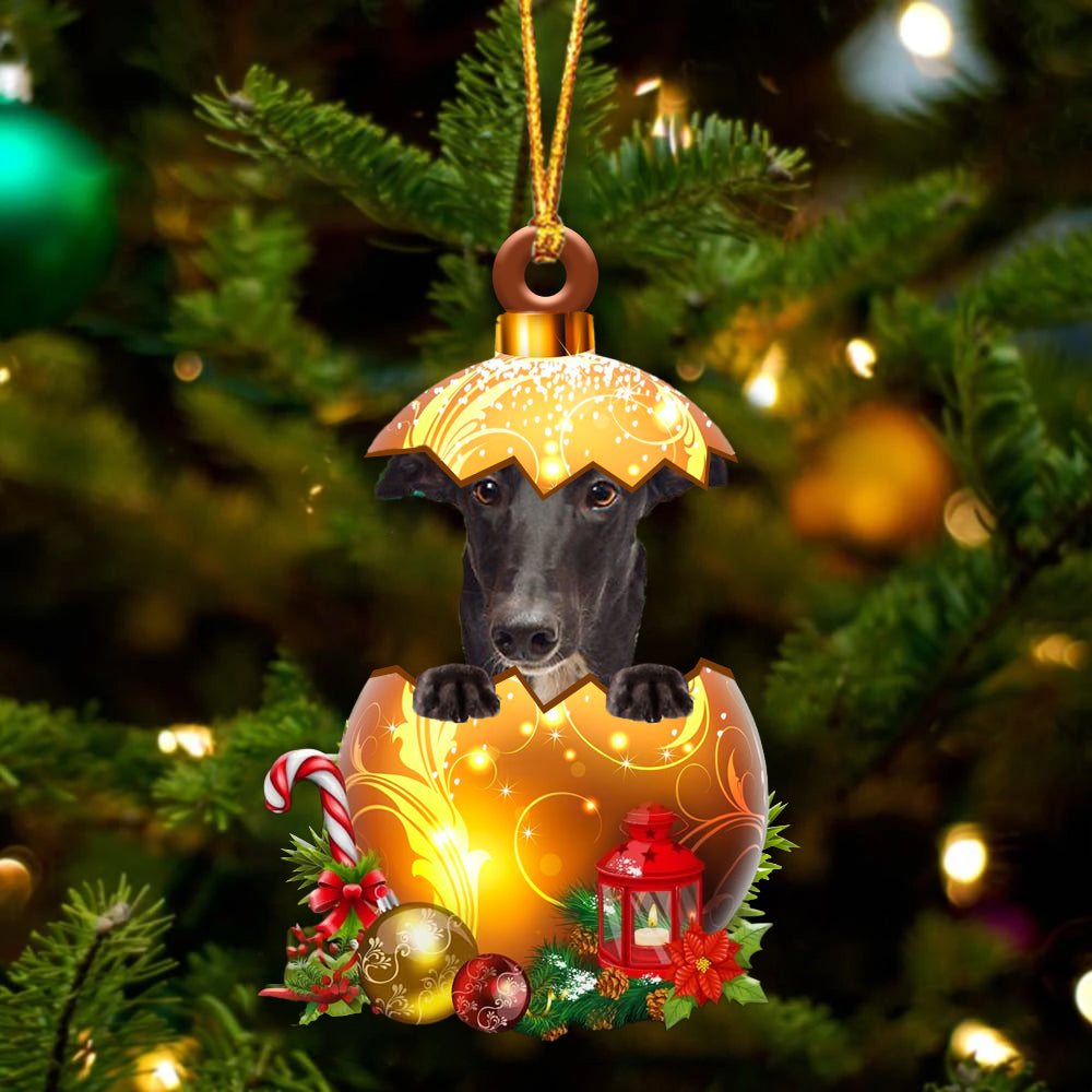 Greyhound In Kerst Gouden Ei Ornament