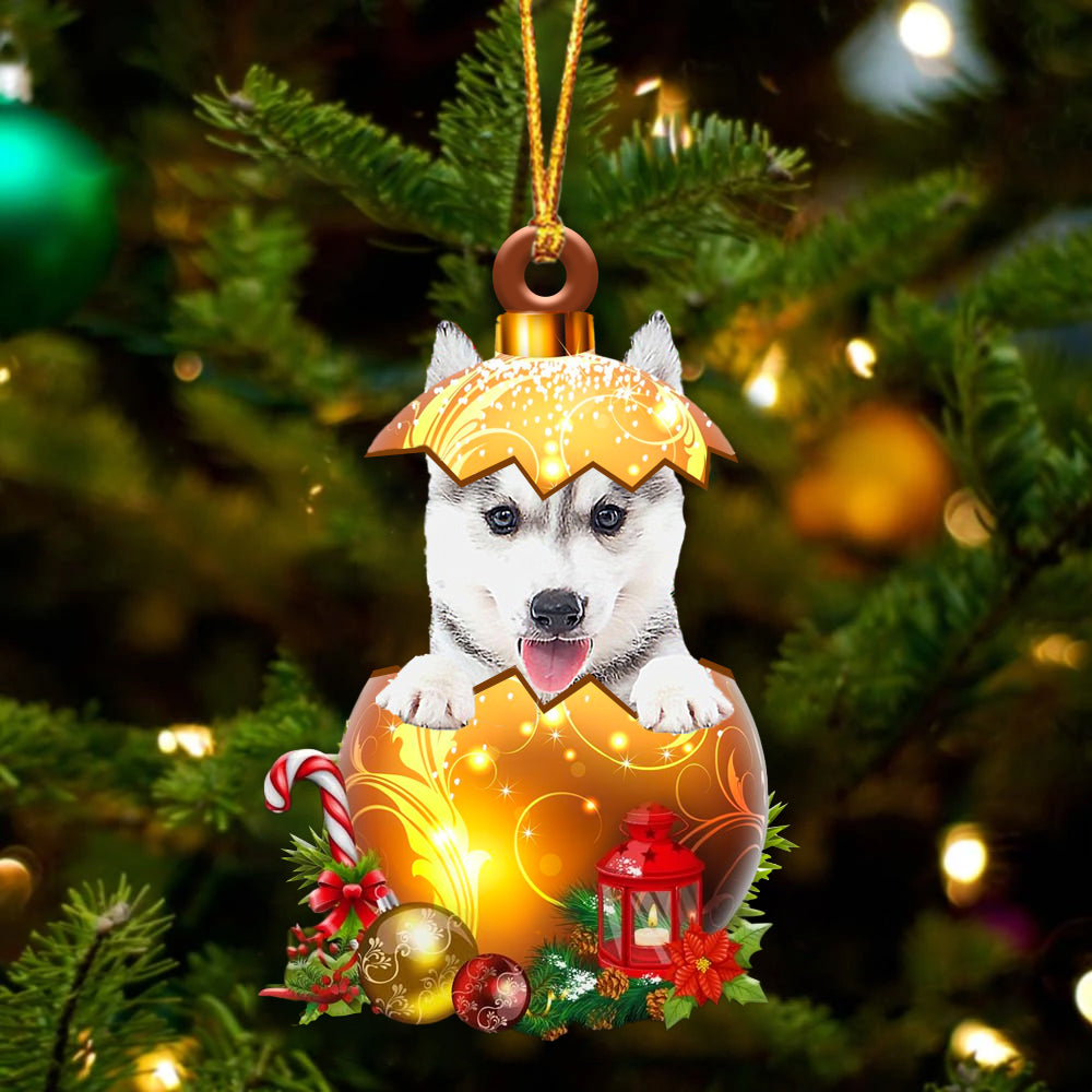 Husky In Kerst Gouden Ei Ornament