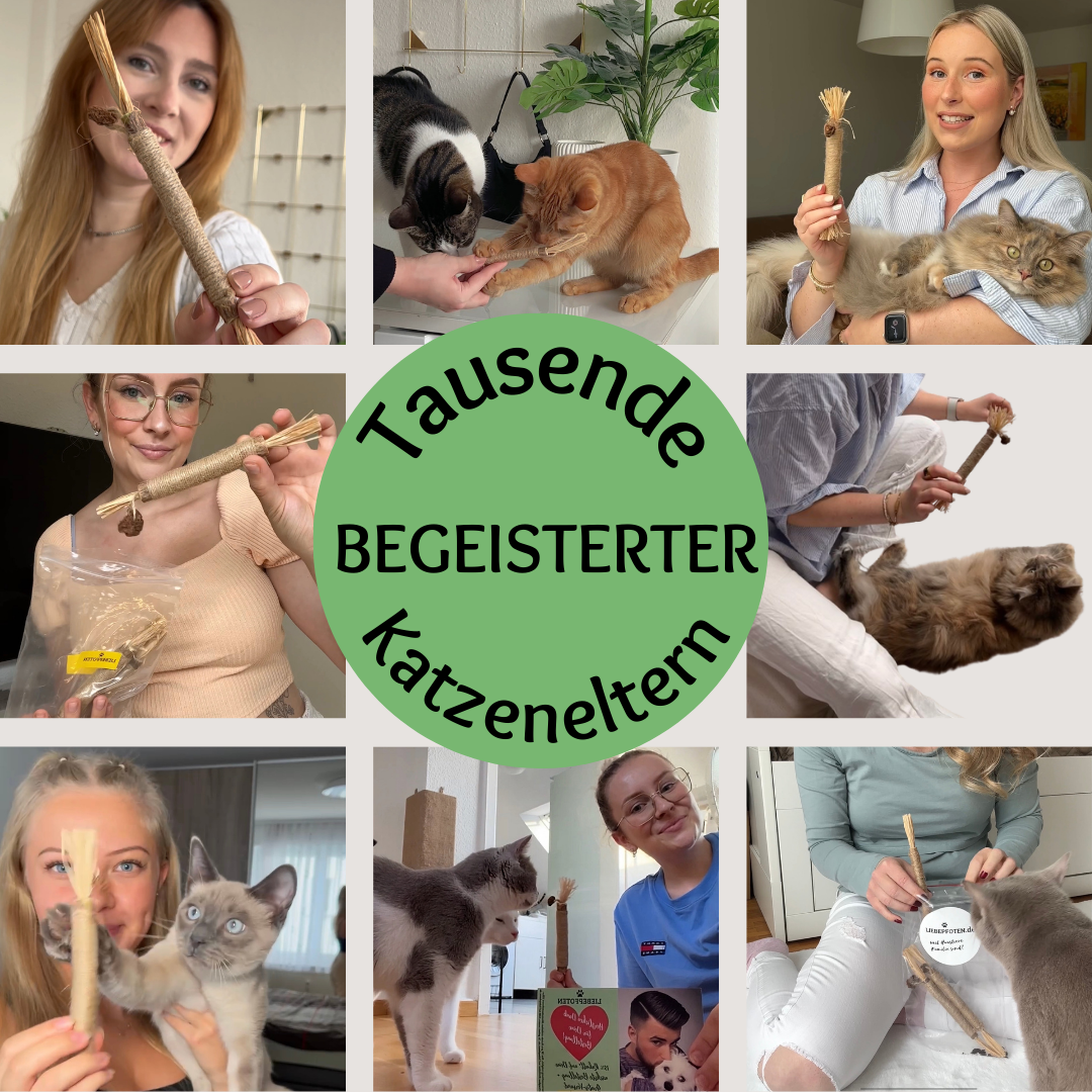 Kauwplezier & reinigingsstaafjes - Ondersteunt de mondhygiëne & zorgt voor urenlang kauwplezier 🇩🇪