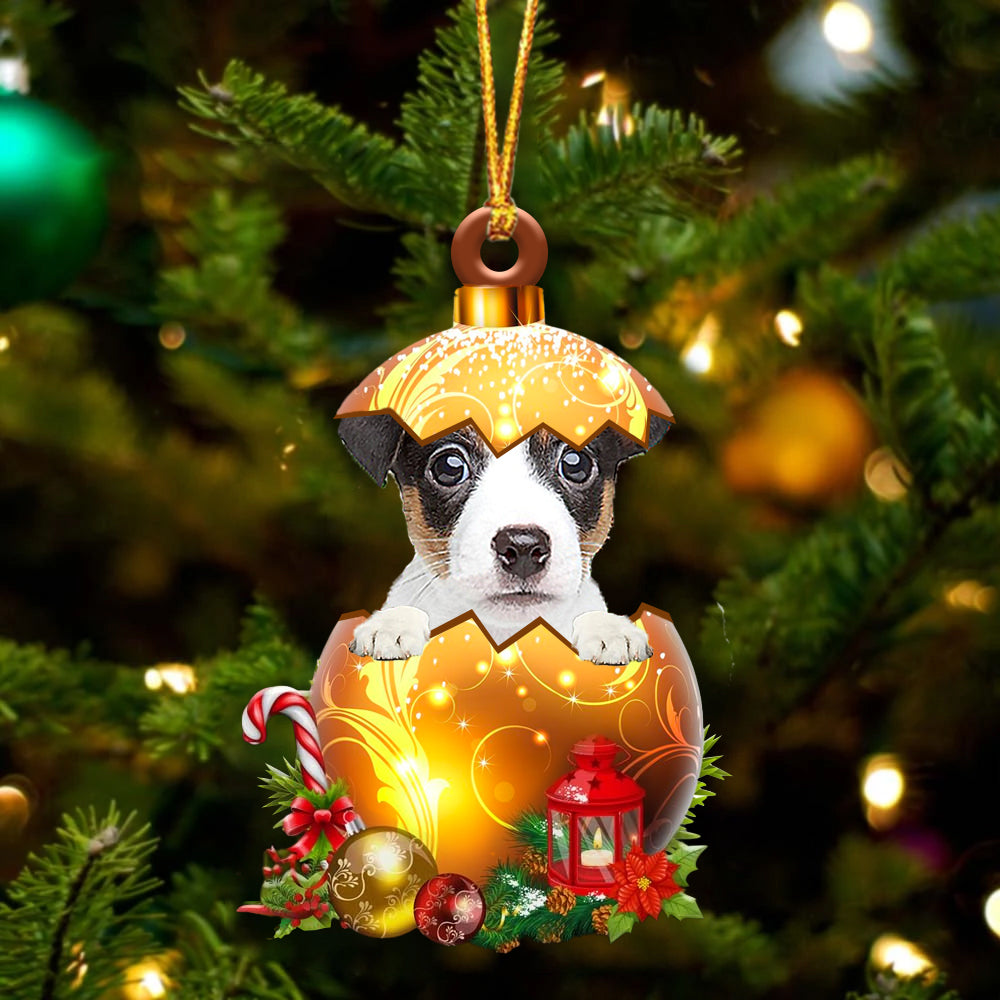 Jack Russell Terrier In Kerst Gouden Ei Ornament