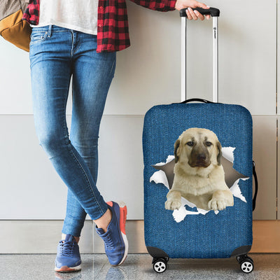 Kangal Dog| Baggage