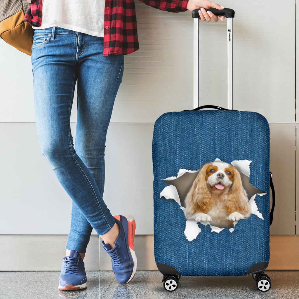 King Charles Spaniel| Baggage