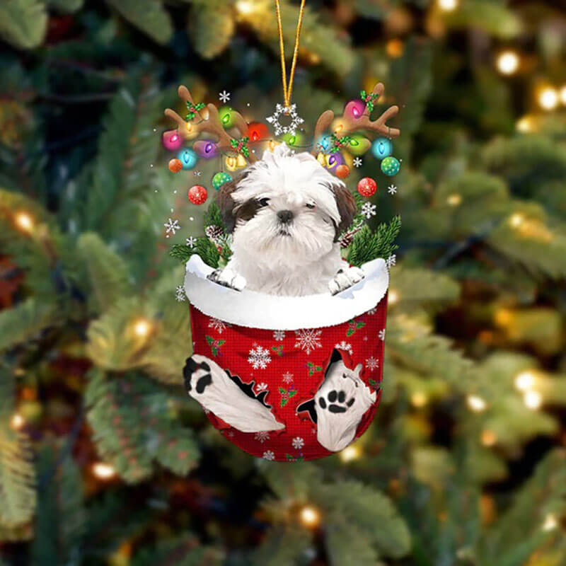 Shih Tzu In Sneeuw Zak Ornament