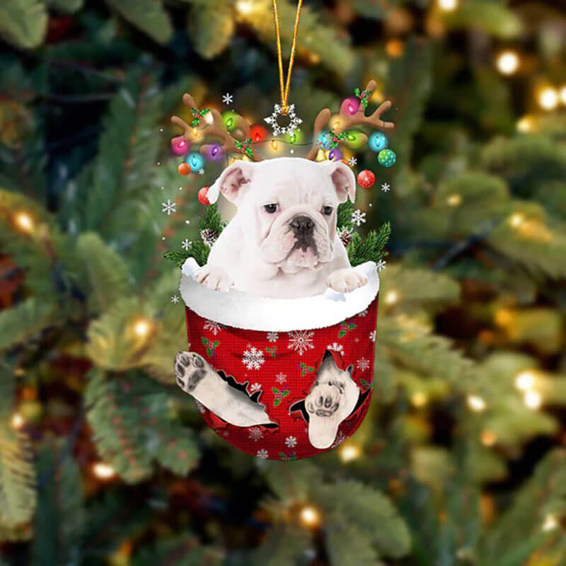 English Bulldog In Sneeuw Zak Ornament