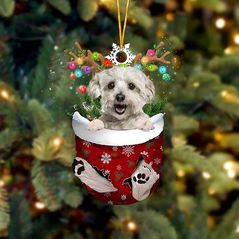 Havanese Wit In Sneeuw Zak Ornament