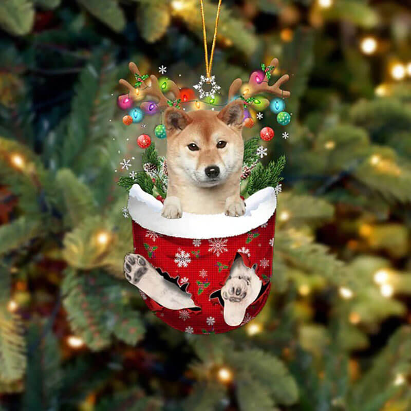 Shiba Inu In Sneeuw Zak Ornament