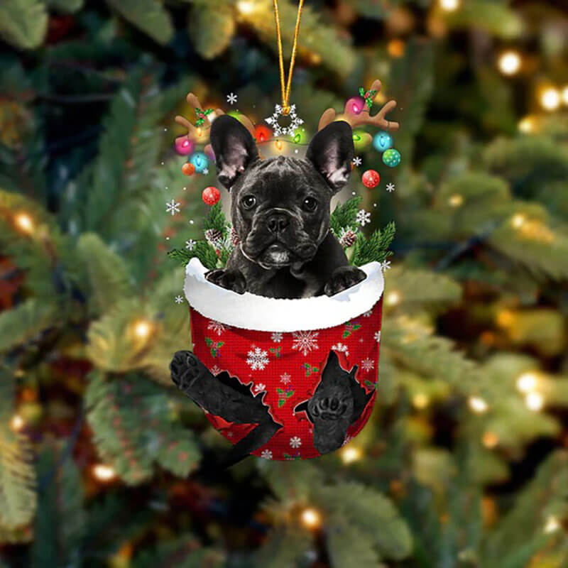 French Bulldog In Sneeuw Zak Ornament