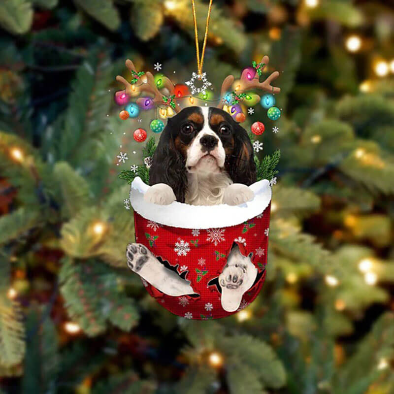 Cavalier King Charles In Sneeuw Zak Ornament