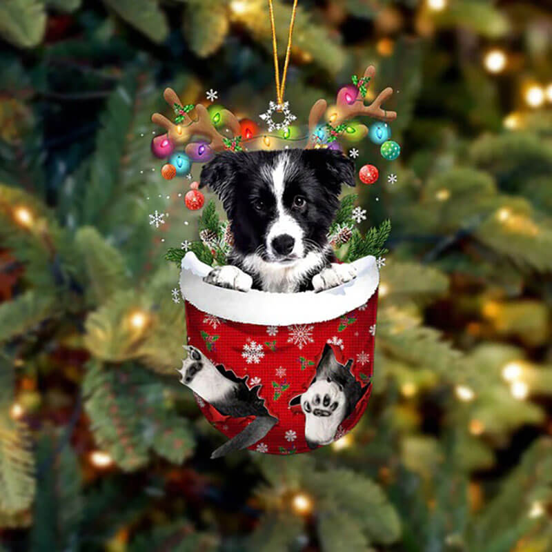 Border Collie In Sneeuw Zak Ornament