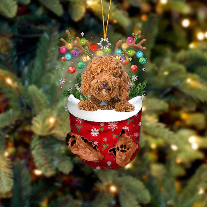 Labradoodle In Sneeuw Zak Ornament