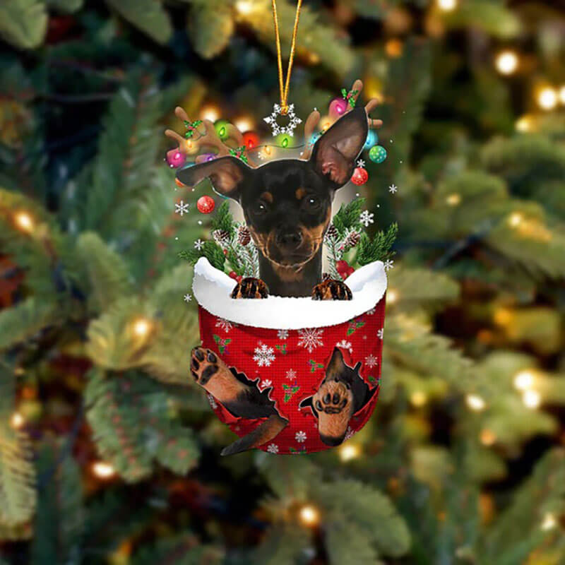 Miniature Pinscher In Sneeuw Zak Ornament