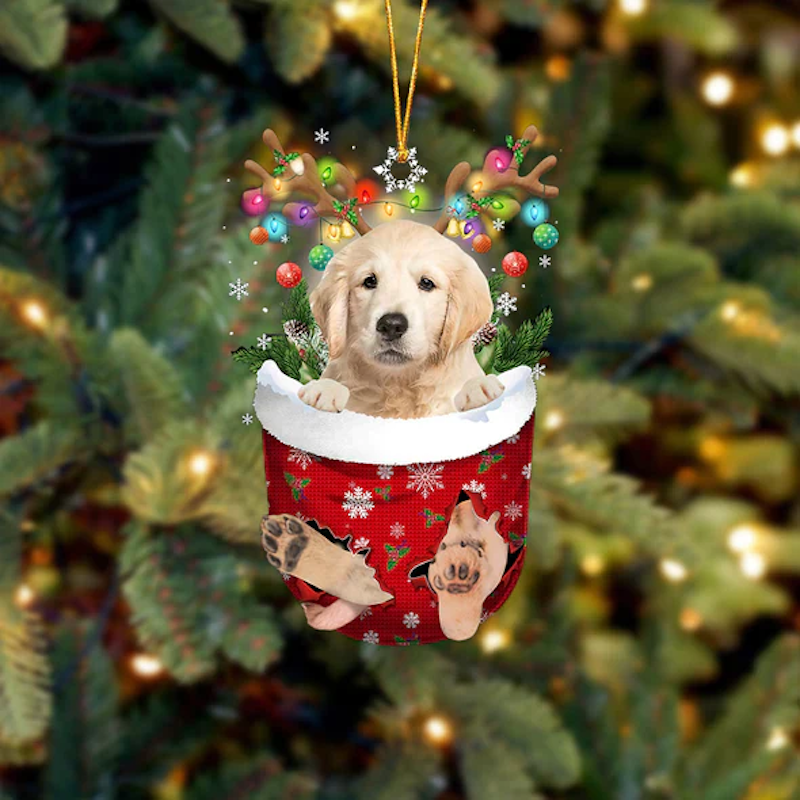 Golden Retriever In Sneeuw Zak Ornament