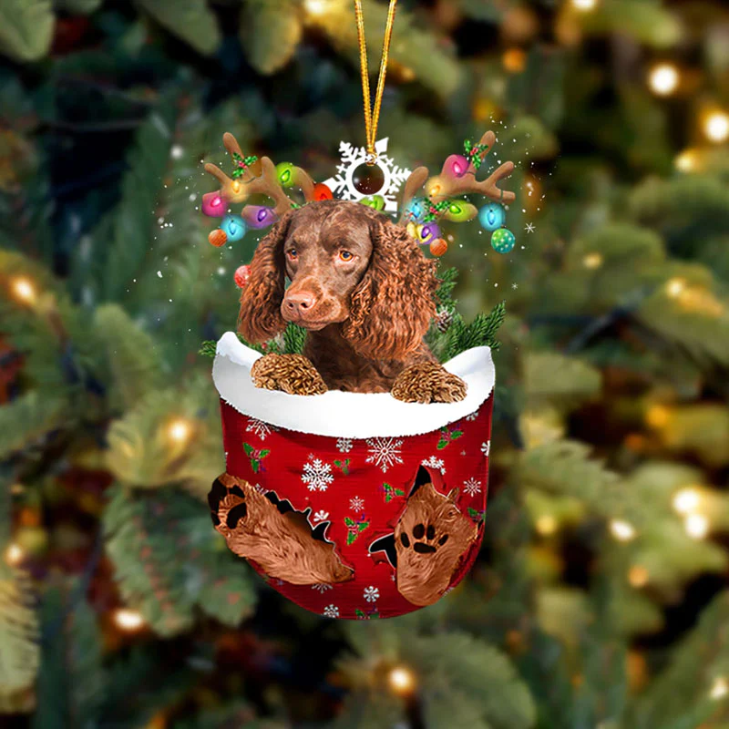 Boykin Spaniel In Sneeuw Zak Ornament