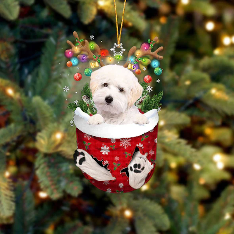 Maltipoo In Sneeuw Zak Ornament