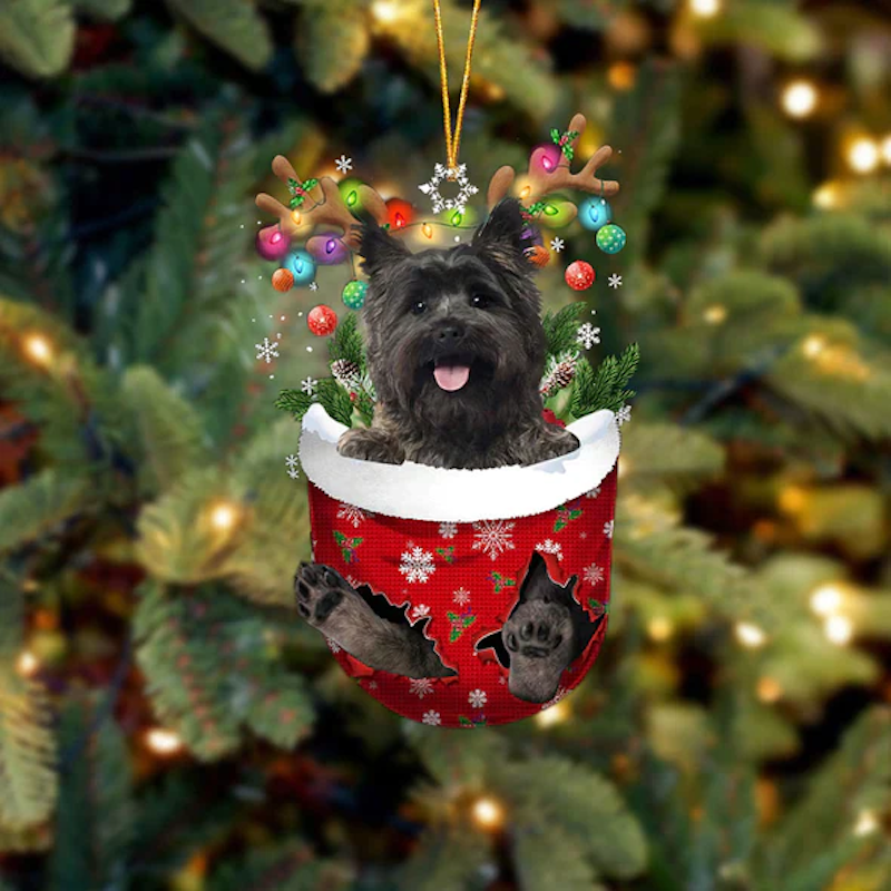 Cairn Terrier In Sneeuw Zak Ornament