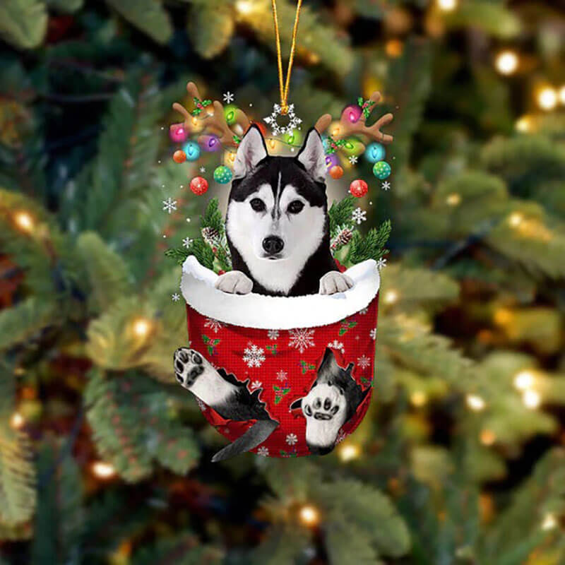 Husky In Sneeuw Zak Ornament