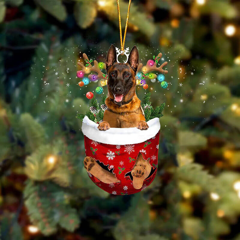 Belgain Malinois In Sneeuw Zak Ornament