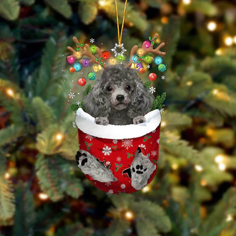 Poodle In Sneeuw Zak Ornament