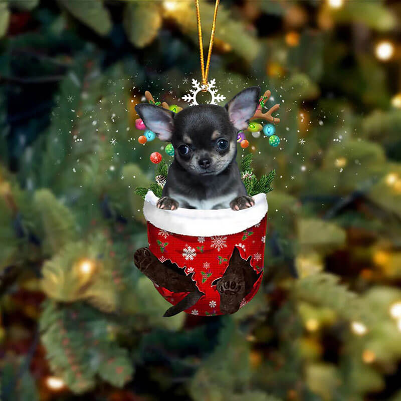 Zwart Chihuahua In Sneeuw Zak Ornament