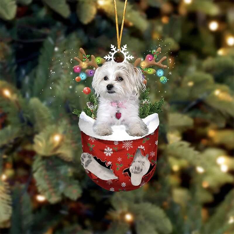 Maltezer And Yorkie Mix In Sneeuw Zak Ornament