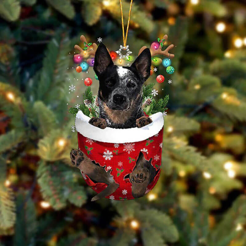 Blue Heeler In Sneeuw Zak Ornament