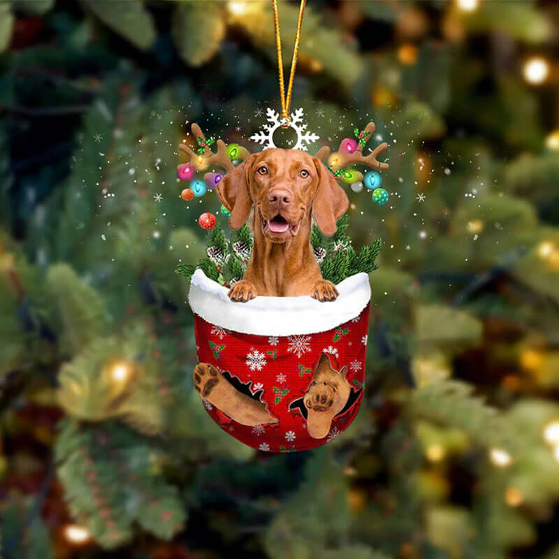 Vizsla In Sneeuw Zak Ornament