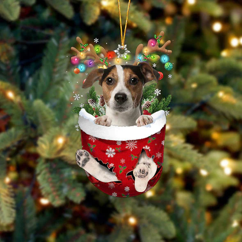 Jack Russell Terrier In Sneeuw Zak Ornament