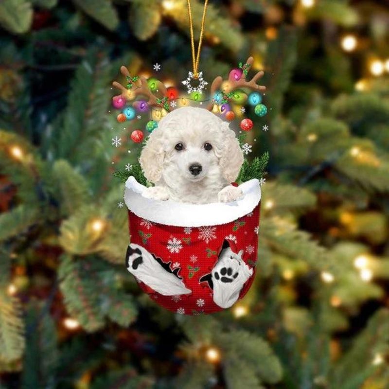 Toy Poodle In Sneeuw Zak Ornament