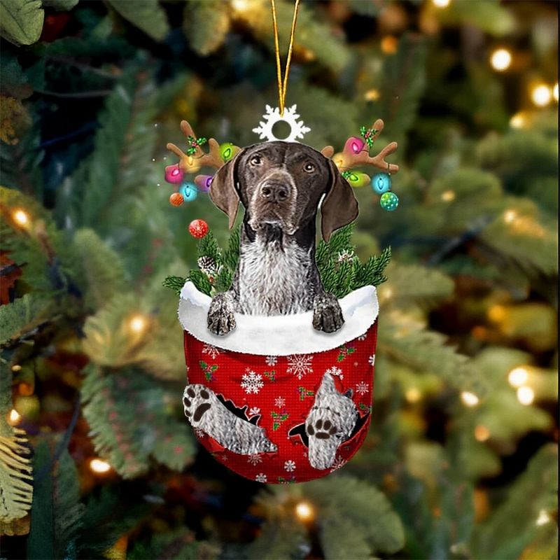 Blue Tick Hound Hond In Sneeuw Zak Ornament