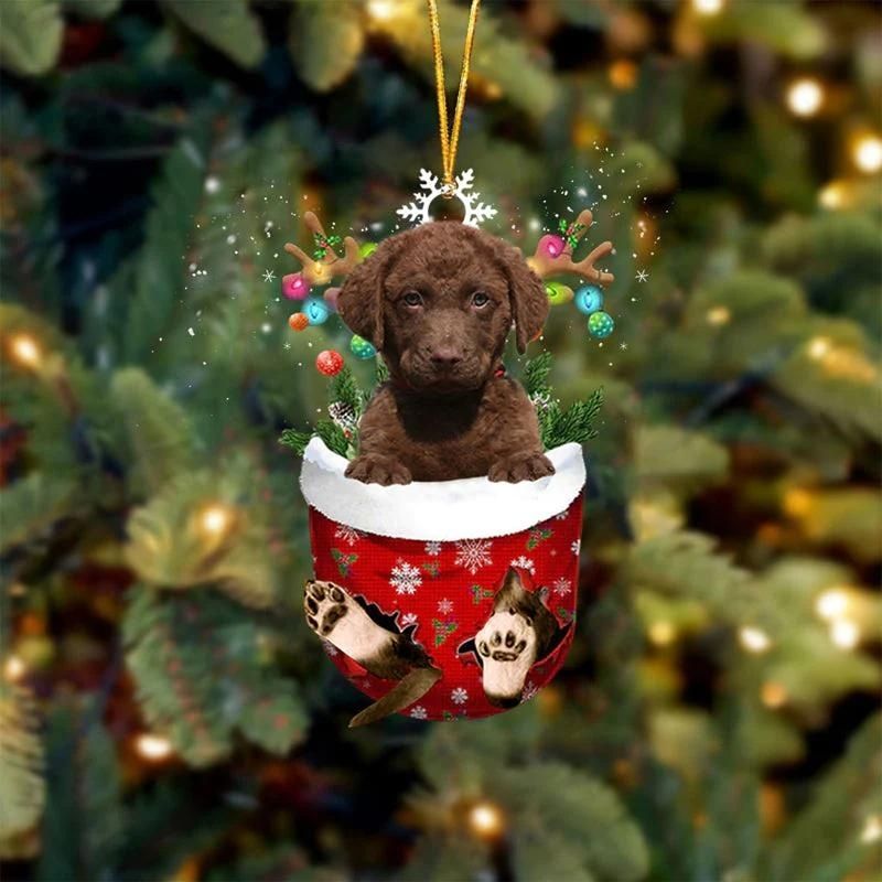 Chesapeake Bay Retrievers In Sneeuw Zak Ornament