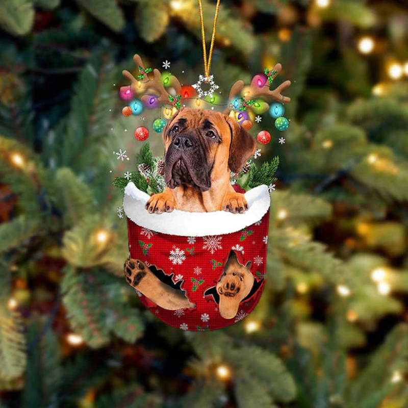 Bullmastiff In Sneeuw Zak Ornament