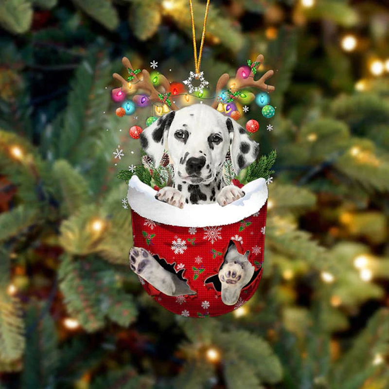 Dalmatian In Sneeuw Zak Ornament