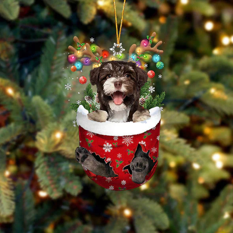 Havanese In Sneeuw Zak Ornament